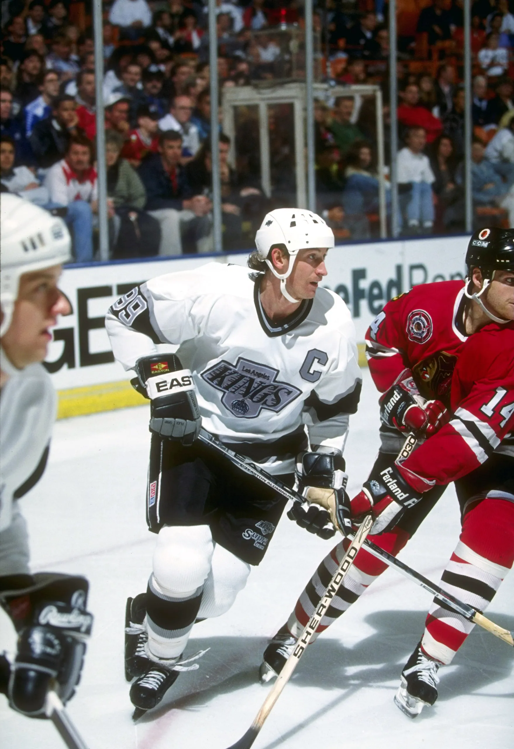 Which NHL team did Wayne Gretzky coach for a brief period?