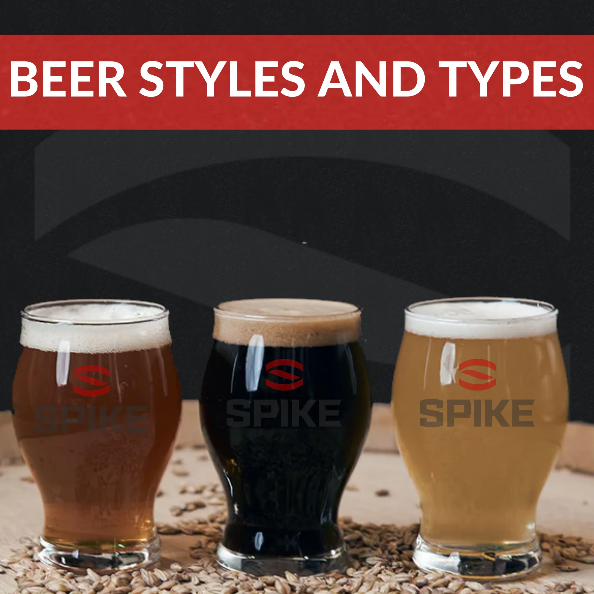 Which beer style is known for its light and delicate flavor?