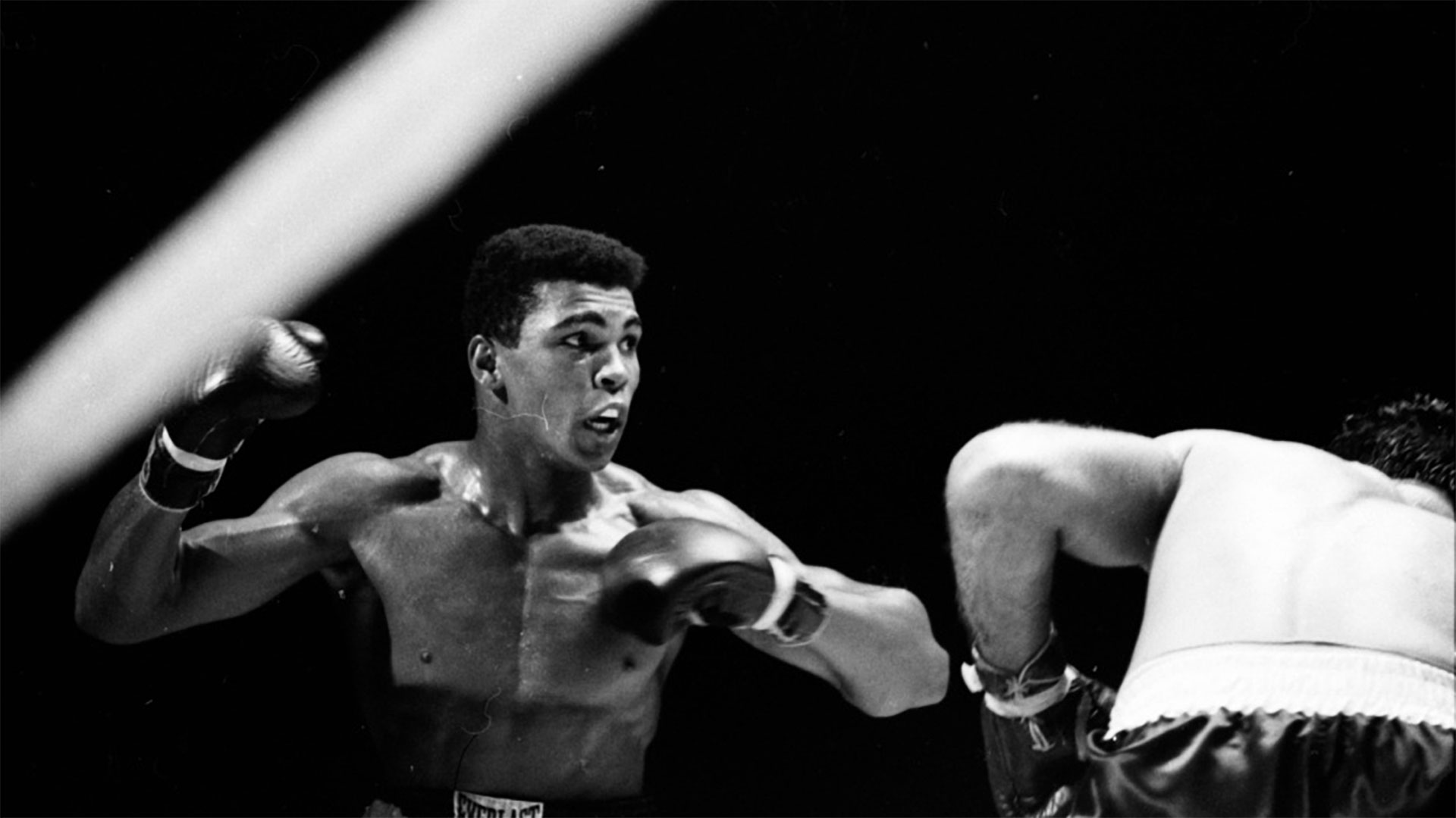 What year did Muhammad Ali retire from professional boxing?