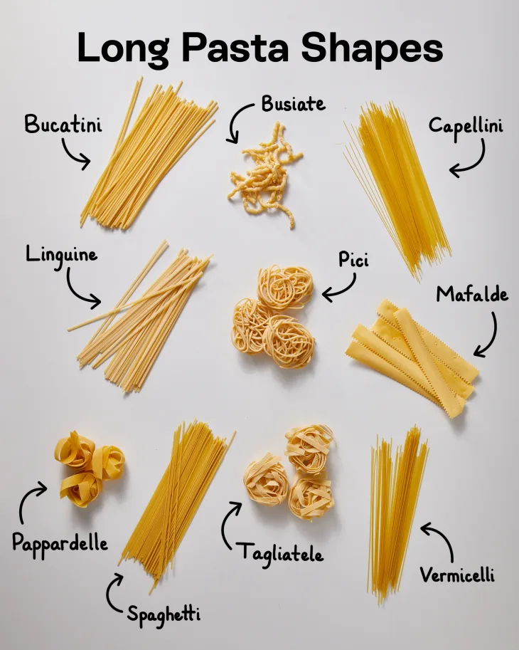What pasta shape is shaped like a spiral shell?