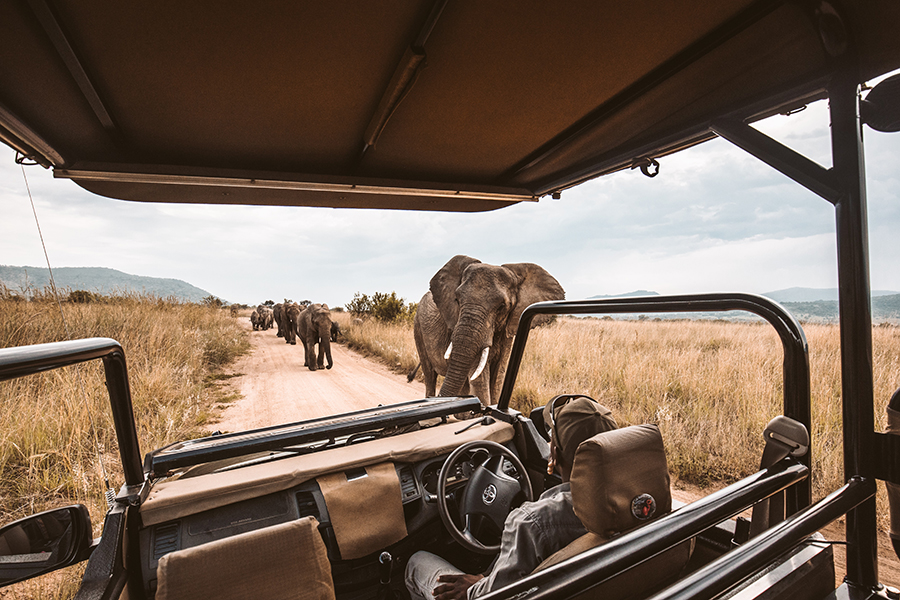 Which famous movie was partially filmed in Kenya's Maasai Mara National Reserve?