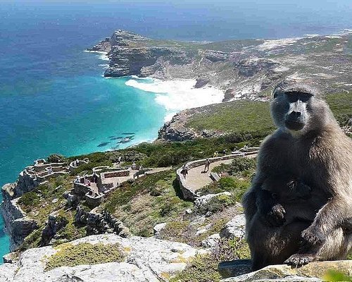 Which popular hiking trail in Cape Town offers stunning views of the city and the Atlantic Ocean?
