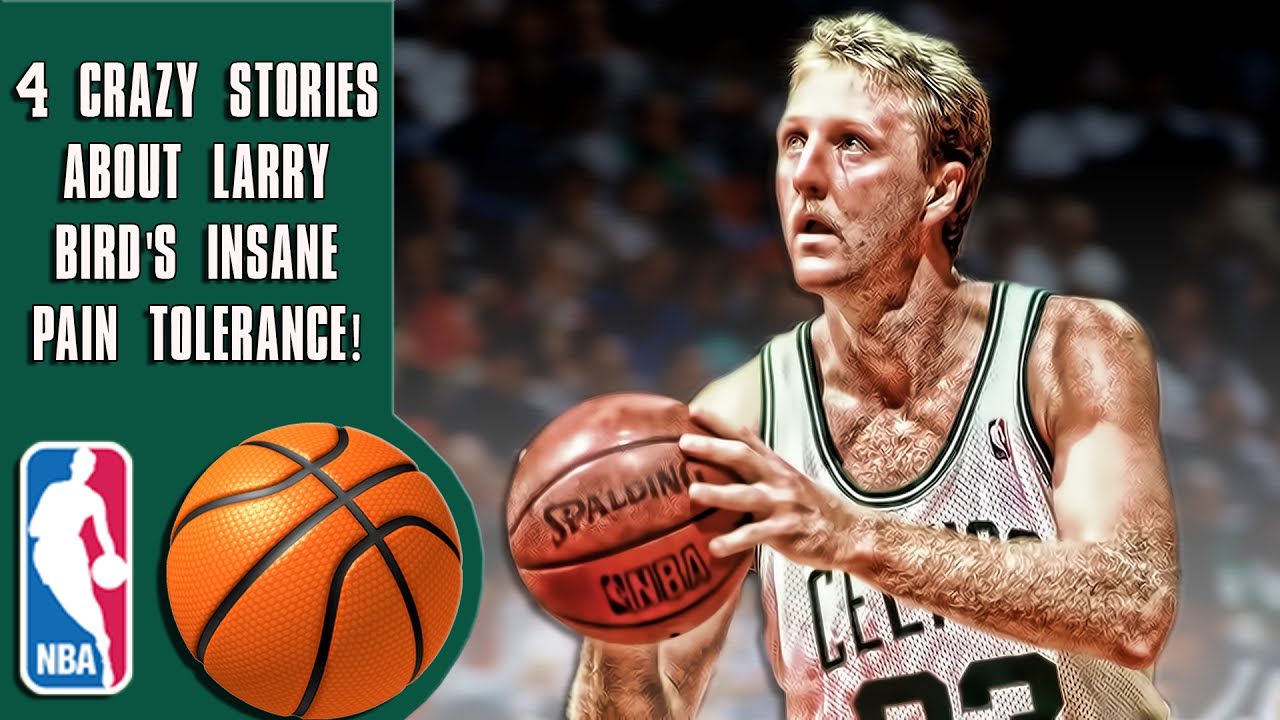 Which college did Larry Bird play for?